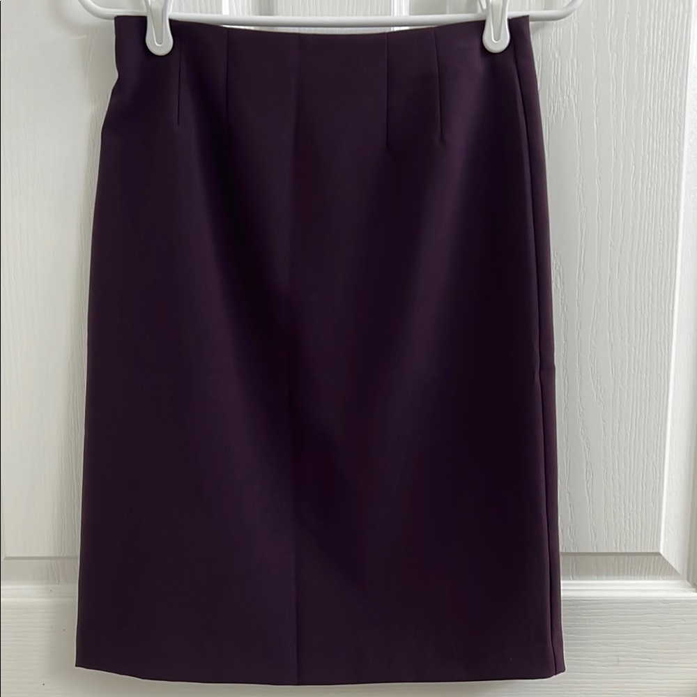 Elegant Purple Women's Skirt